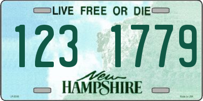 NH license plate 1231779