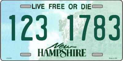 NH license plate 1231783