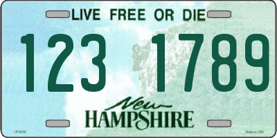 NH license plate 1231789