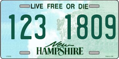 NH license plate 1231809