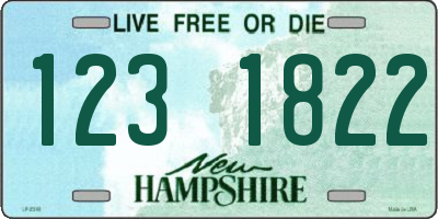 NH license plate 1231822