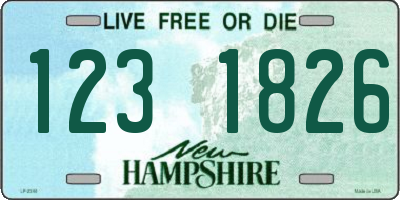NH license plate 1231826