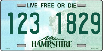 NH license plate 1231829