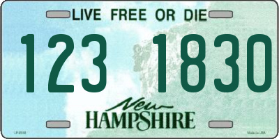 NH license plate 1231830