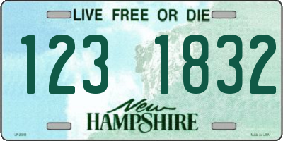 NH license plate 1231832