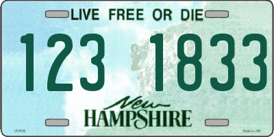 NH license plate 1231833