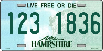 NH license plate 1231836
