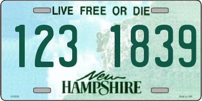 NH license plate 1231839