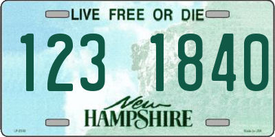 NH license plate 1231840