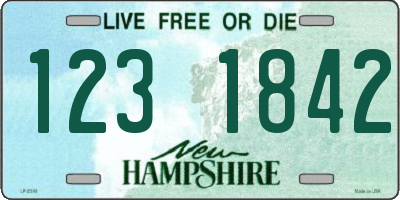 NH license plate 1231842