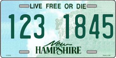 NH license plate 1231845