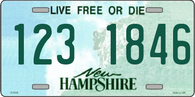 NH license plate 1231846