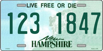 NH license plate 1231847