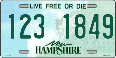 NH license plate 1231849