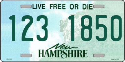 NH license plate 1231850