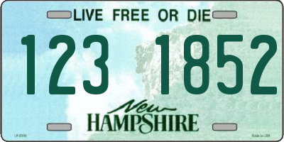 NH license plate 1231852