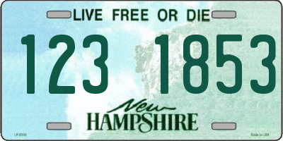 NH license plate 1231853