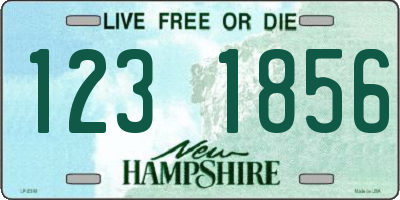 NH license plate 1231856