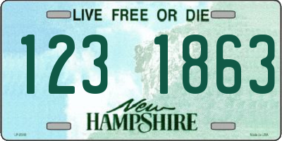 NH license plate 1231863
