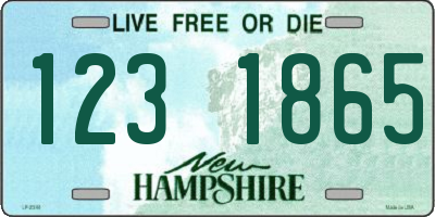 NH license plate 1231865