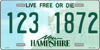 NH license plate 1231872