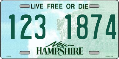 NH license plate 1231874