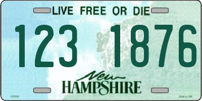 NH license plate 1231876