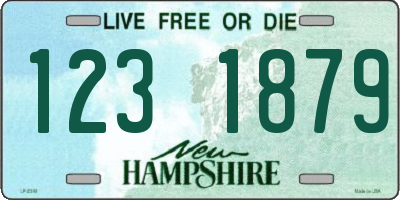 NH license plate 1231879