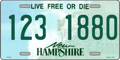 NH license plate 1231880