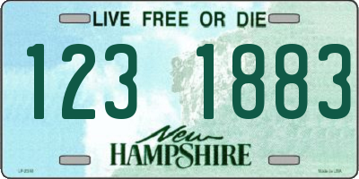 NH license plate 1231883