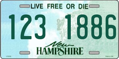 NH license plate 1231886