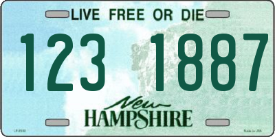 NH license plate 1231887