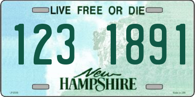 NH license plate 1231891