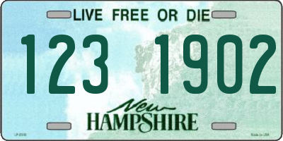 NH license plate 1231902