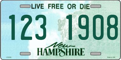 NH license plate 1231908