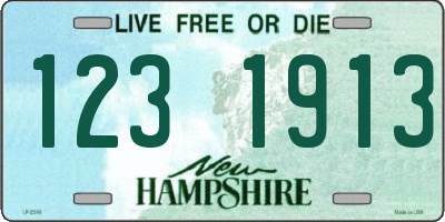 NH license plate 1231913