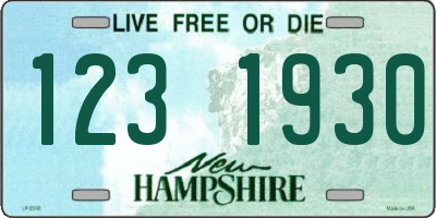 NH license plate 1231930