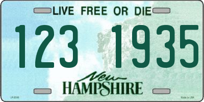 NH license plate 1231935