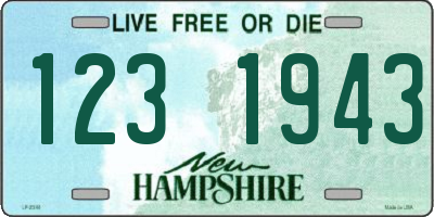 NH license plate 1231943