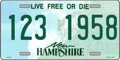 NH license plate 1231958