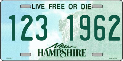 NH license plate 1231962