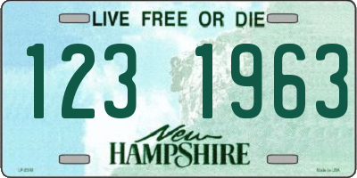 NH license plate 1231963