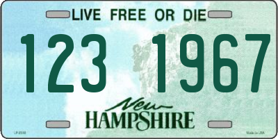 NH license plate 1231967