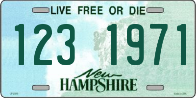 NH license plate 1231971