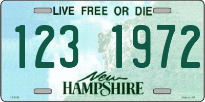 NH license plate 1231972