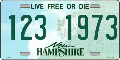 NH license plate 1231973