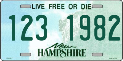 NH license plate 1231982