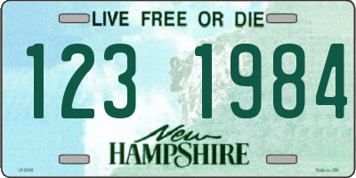 NH license plate 1231984