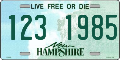 NH license plate 1231985