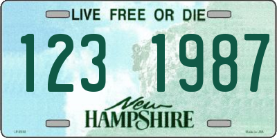 NH license plate 1231987